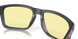 Очки Oakley Holbrook XL, Gaming Collection, Matte Carbon/Prizm Gaming (OAK 9417.4259)