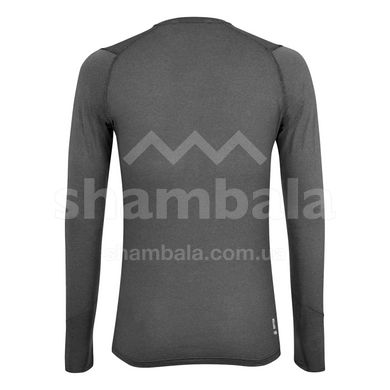 Чоловіча футболка Salewa Pedroc Hybrid 2 Dry M L/S Tee, gray, 54/2X (277230876)