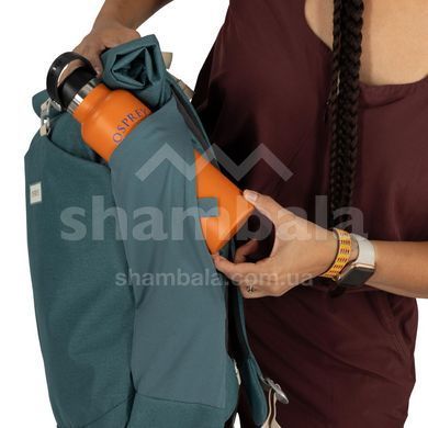 Рюкзак Osprey Arcane Roll Top, Red Pampas, O/S (810145598399)