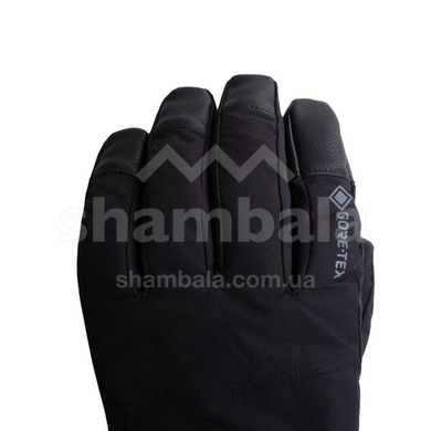 Перчатки Trekmates Chamonix GTX Glove, black, S (TM-004818/TM-01000)