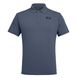 Чоловіча футболка Salewa Dri-Release® Men's Polo, Grey, 50 / L (270040450)