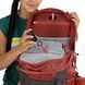 Рюкзак жіночий Osprey Tempest 22, Frosty Mint Green/Botanica, O/S (810145592137) 2025