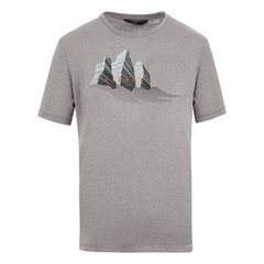 Футболка чоловіча Salewa Lines Graphic Dry Men's T-Shirt, Grey, 54 / 2X (280650625)