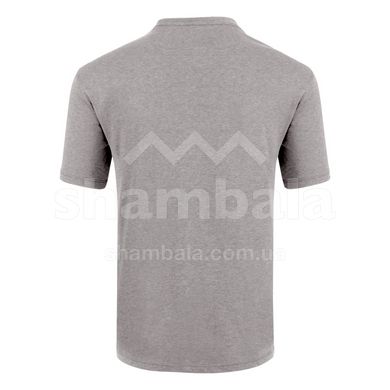 Мужская футболка Salewa Lines Graphic Dry Men's T-Shirt, Grey, 54/2X (280650625)