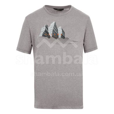 Чоловіча футболка Salewa Lines Graphic Dry Men's T-Shirt, Grey, 54 / 2X (280650625)