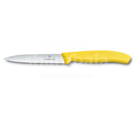 Нож для овощей Victorinox SwissClassic Paring 6.7736.L8 (лезвие 100мм)