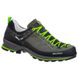 Кросівки чоловічі Salewa MS MTN TRAINER 2 L, 43 Green (61357/0471 9)