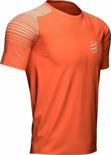 Футболка чоловіча Compressport Performance SS Tshirt M 2022, Orangeade/Fjord Blue, M (AM00127S 410 00M)