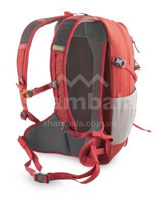 Рюкзак Pinguin Ride 19, Red (PNG 327137) 2020