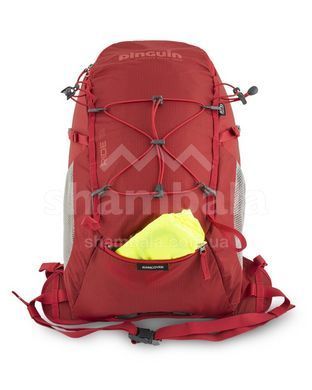 Рюкзак Pinguin Ride 19, Red (PNG 327137) 2020