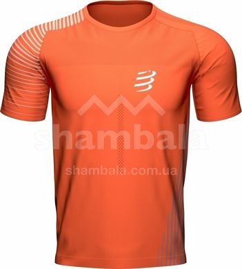 Футболка мужская Compressport Performance SS Tshirt M 2022, Orangeade/Fjord Blue, M (AM00127S 410 00M)