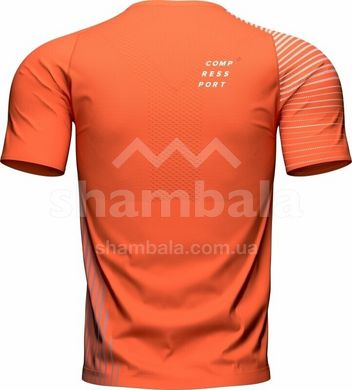 Футболка чоловіча Compressport Performance SS Tshirt M 2022, Orangeade/Fjord Blue, M (AM00127S 410 00M)