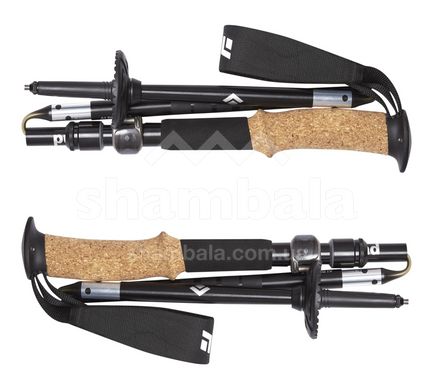 Треккинговые палки Black Diamond Alpine FLZ, 105-125 см, Black (BD 112195-125)