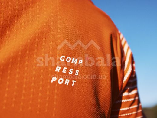 Футболка мужская Compressport Performance SS Tshirt M 2022, Orangeade/Fjord Blue, M (AM00127S 410 00M)