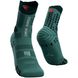 Носки Compressport Pro Racing Socks V3.0 Trail, Silver Pine, T1 (PRSV3-TR 108 0T1)
