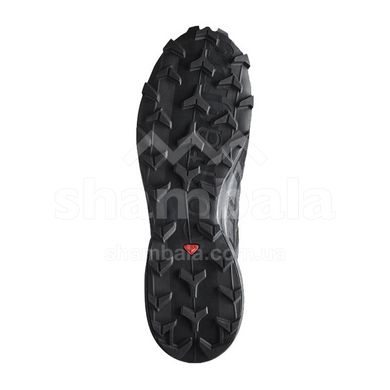 Кроссовки мужские Salomon Speedcross 6 GTX, Black/Black/Phantom, 10 (SLM 417386-10)