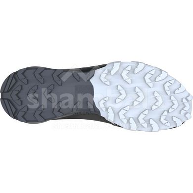 Кросівки чоловічі Dynafit TRAVERSE GTX, Grey/Black, 42.5 (64080/0731 8,5)