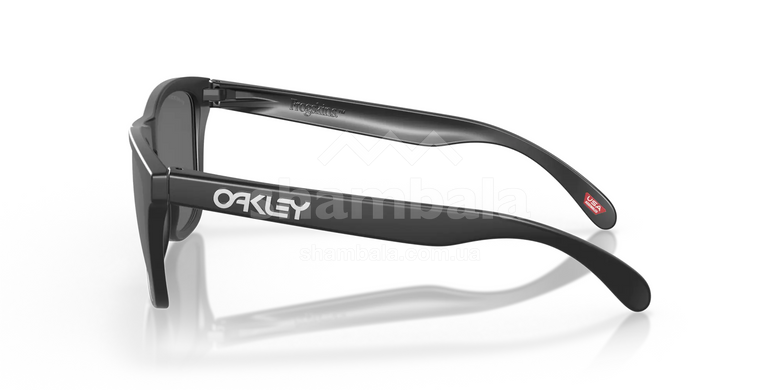 Окуляри Oakley Frogskin Matte Black/Prizm Black Polarized (OAK 9013-F755)