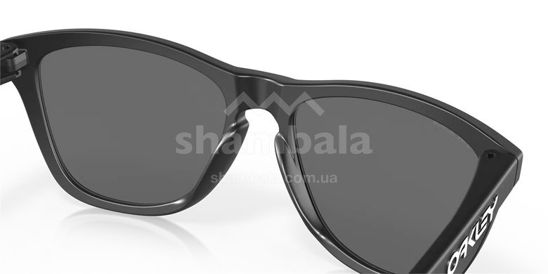 Окуляри Oakley Frogskin Matte Black/Prizm Black Polarized (OAK 9013-F755)