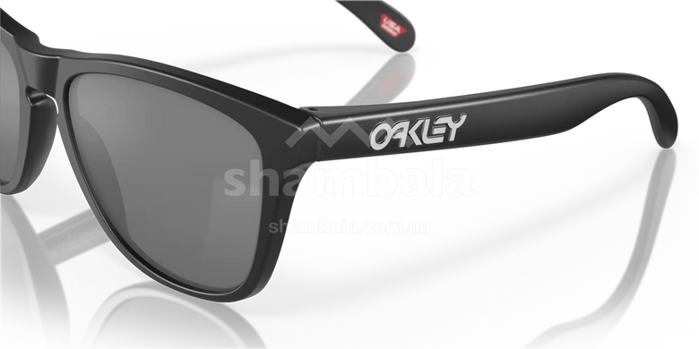 Окуляри Oakley Frogskin Matte Black/Prizm Black Polarized (OAK 9013-F755)