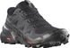 Кроссовки мужские Salomon Speedcross 6 GTX, Black/Black/Phantom, 10 (SLM 417386-10)