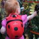 Рюкзак детский Little Life Animal, Ladybird new (10813)