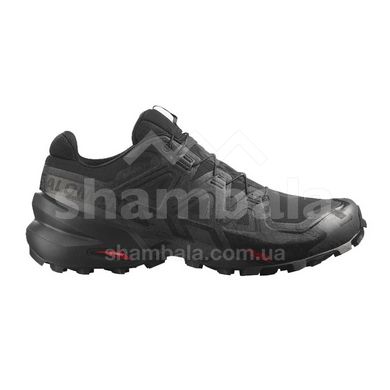 Кроссовки мужские Salomon Speedcross 6 GTX, Black/Black/Phantom, 10.5 (SLM 417386-10,5)