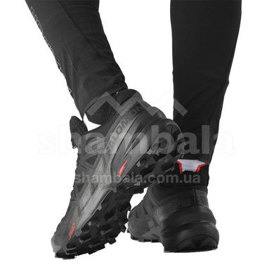 Кроссовки мужские Salomon Speedcross 6 GTX, Black/Black/Phantom, 10.5 (SLM 417386-10,5)