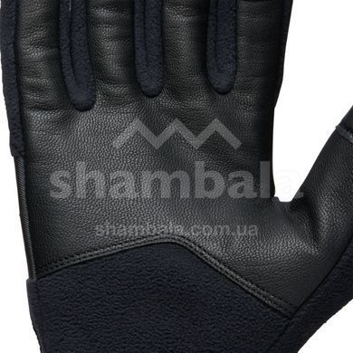 Рукавички чоловічі Black Diamond Alpine Fleece Gloves, Black, L (BD 8017470002LRG1)