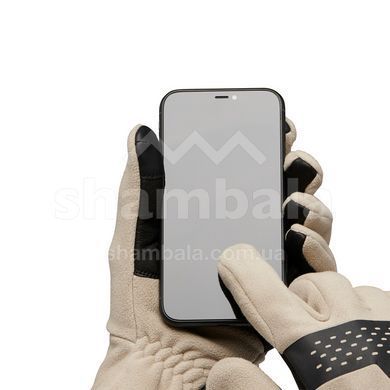 Рукавички чоловічі Black Diamond Alpine Fleece Gloves, Moonstone, S (BD 8017472018SML1)