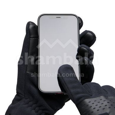 Рукавички чоловічі Black Diamond Alpine Fleece Gloves, Black, L (BD 8017470002LRG1)
