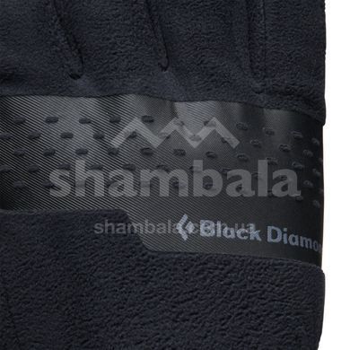 Рукавички чоловічі Black Diamond Alpine Fleece Gloves, Black, L (BD 8017470002LRG1)