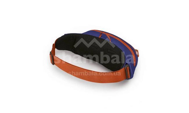 Поясная сумка Osprey Daylite Waist Silver Lining/Blueberry (843820160772)