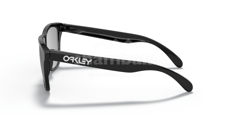 Окуляри Oakley Frogskin Polished Black/Grey (OAK 24.306)