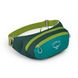 Поясная сумка Osprey Daylite Waist 2, escapade green/baikal green (843820160758)
