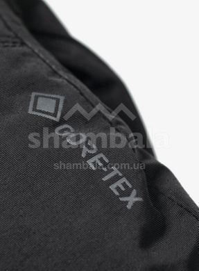 Рукавиці Trekmates Chamonix GTX Mitt, black, S (TM-004819/TM-01000)
