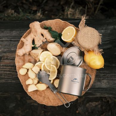 Ложка-вилка титанова складана Naturehike NH19C001-J, Grey (6927595734766)