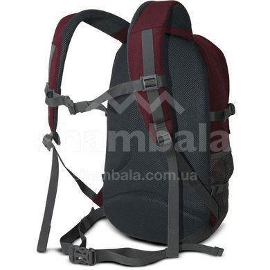 Рюкзак Trimm Escape 25, Lime Green (8595225520805)