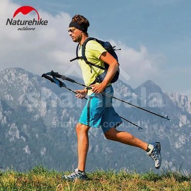Трекинговая палка Naturehike ST08 NH18D020-Z, Burgundy, 110 см, 1 шт (6927595748527)