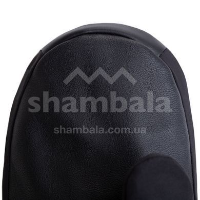 Рукавиці Trekmates Chamonix GTX Mitt, black, S (TM-004819/TM-01000)