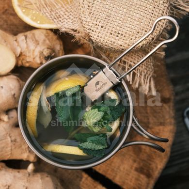 Ложка-вилка титанова складана Naturehike NH19C001-J, Grey (6927595734766)