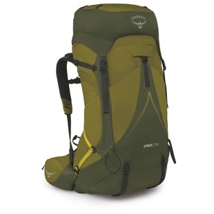 Рюкзак Osprey Atmos AG LT 50 Scenic Valley/Green Peppercorn, L/XL (009.3285)