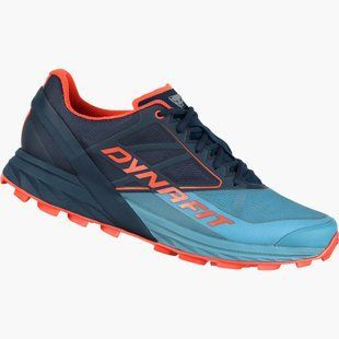 Кросівки чоловічі Dynafit Alpine, Storm blue blueberry, 45 (4053866477161)