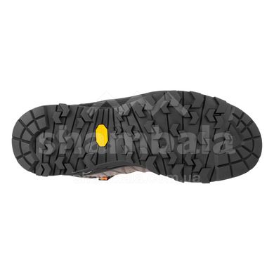 Напівчеревики чоловічі Salewa MS Alp Trainer 2 MID GTX, 45 - Brown (61382.7512)