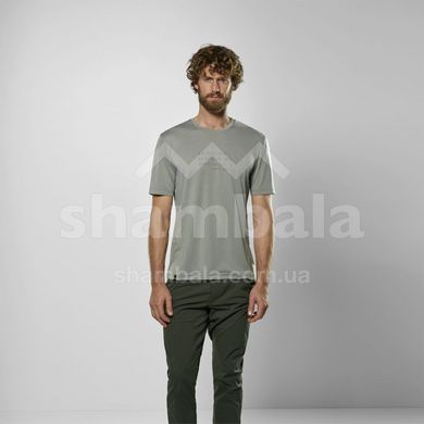 Мужская футболка Salewa EAGLE POEM DRY T-SHIRT M, grey, 50/L (28912/5130 50/L)