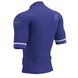 Футболка чоловіча Compressport Trail Postural SS Top M, Dazz Blue, M (7630102555769)
