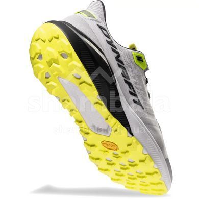 Кросівки чоловічі Dynafit TRAIL, Grey/Black, 46.5 (016.001.2437)