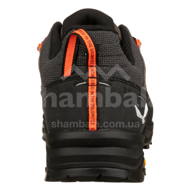 Кроссовки мужские Salewa Alp Trainer 2 M, Brown bungee cord, 43 (SLW 013.001.5636)