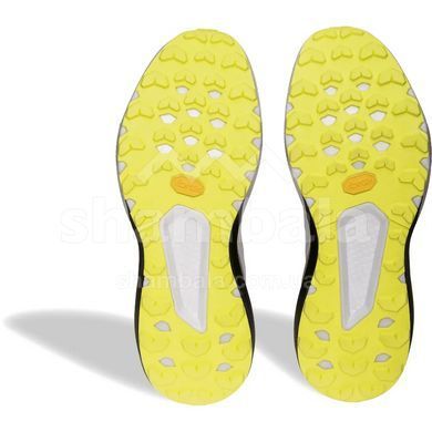 Кросівки чоловічі Dynafit TRAIL, Grey/Black, 46.5 (016.001.2437)