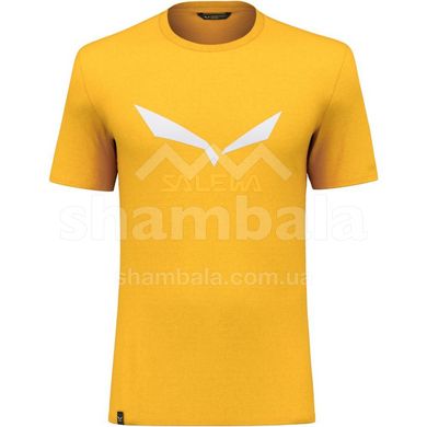 Футболка чоловіча Salewa SOLIDLOGO DRI-REL M S/S TEE, Yellow, 50/L (27018/2196 50/L)